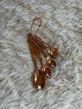 Retired Anthropologie Copper Ornate Measuring Spoon Set